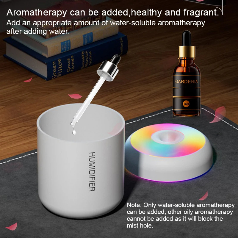 HOMEFISHMini Air Humidifier Us - Oil Mister Spray Bottle 评论和价格