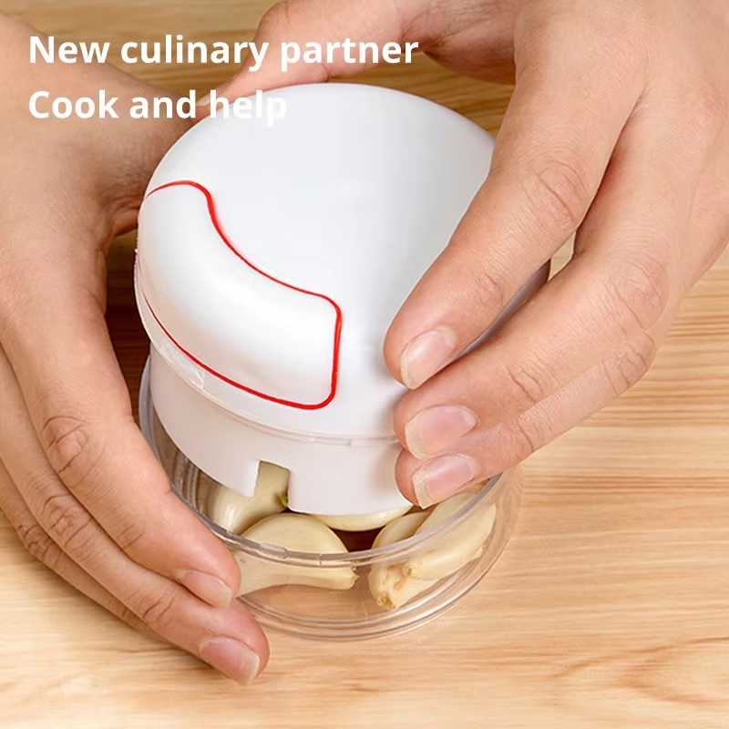 1PC Mini Garlic Crusher Press  - Kitchen Gadgets Peeler 评论和价格